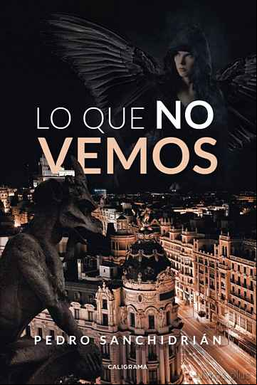 Descargar gratis ebook (IBD) LO QUE NO VEMOS en epub
